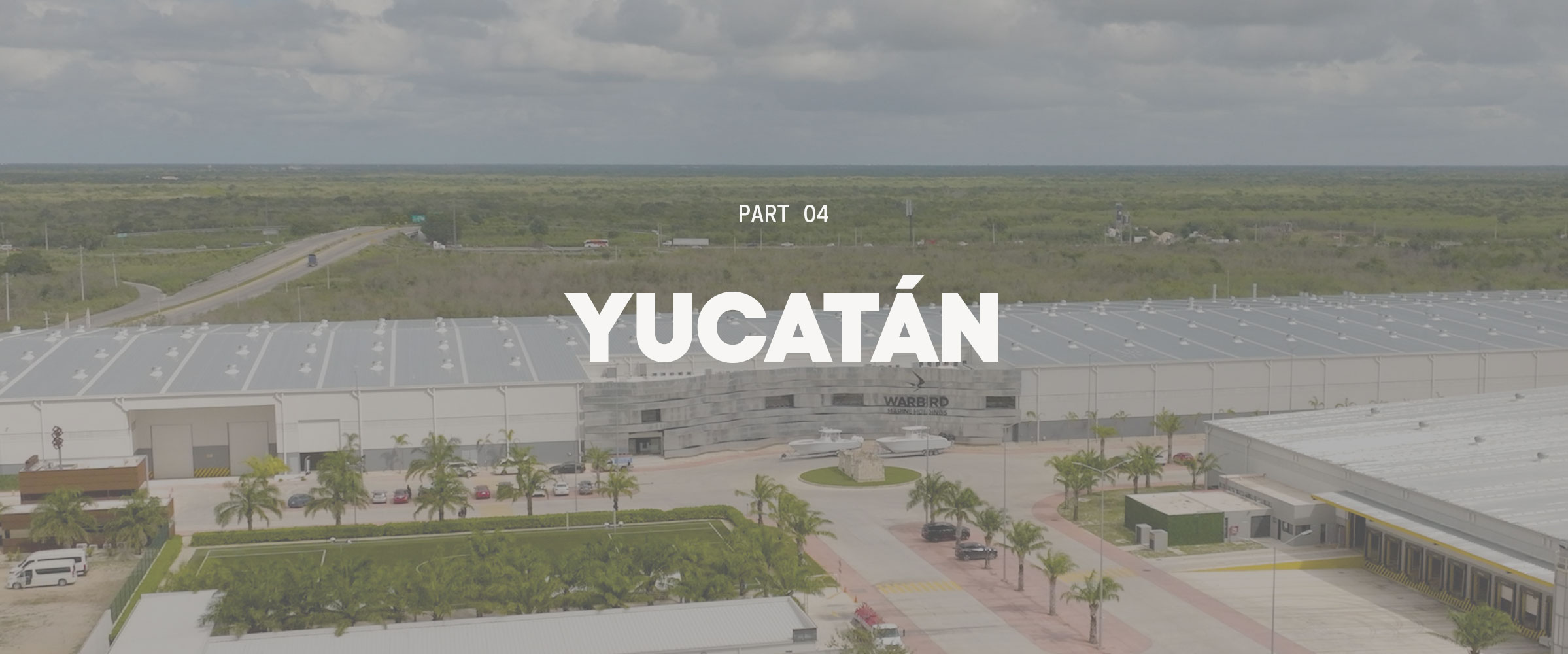 Yellowfin Yucatan